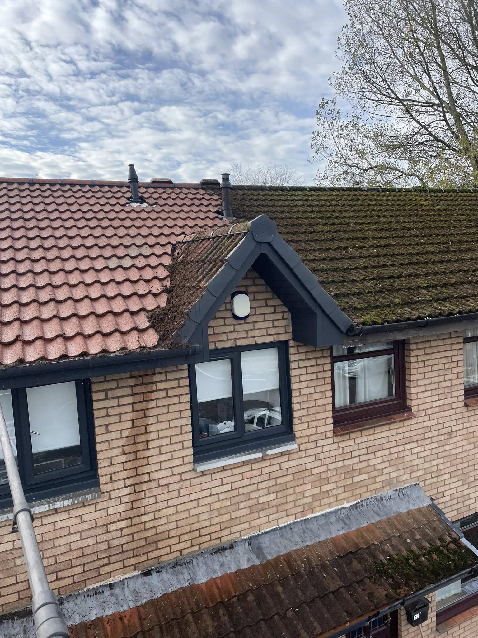 Jimbos Cleaning gallery photo 7